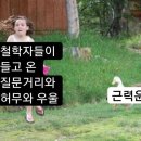 잼잼 - 가평군 둔덕말길 13-62 | 잼잼