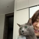 일일일영 이미지