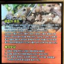 지우돌곱창 이미지