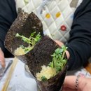 대박난집 | 소래포구 숨은맛집 홍참치 가성비 대박 참치집 내돈내산 후기