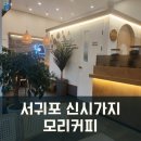 [체크인]신서귀포 예쁜카페 모리커피 서귀포혁신도시점