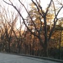 계양산산림욕장(장미원) 이미지