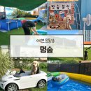 애견의숲 | 부산 애견운동장 애견수영장 멍숲 방문 후기
