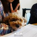 다미민박 이미지