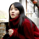 선흥