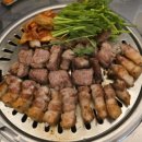 [잠원 신사 반포 논현] 밥집 맛집 리스트 내돈내산 솔직 후기