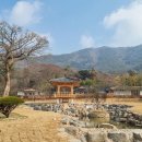 고산이랑 이미지