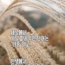 한겨울날의 꿈-조남지대 이미지