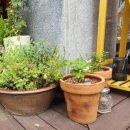 강송로74번길 이미지