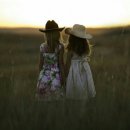 억수로 - 김해시 | 억수로