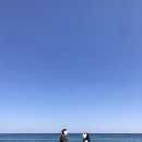 카페에세이(Cafe Essay)