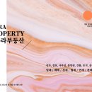 아우라부동산공인중개사사무소 네이버블로그