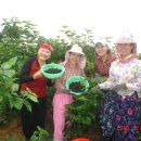 동서농장 이미지