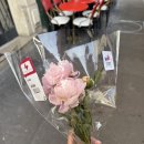 우리탑약국 | 스위스 &amp; 파리 신혼여행 DAY 14 | 파리스냅 인상적/몽쥬약국/호카(HOKA)/에펠탑 피크닉/해피그릴 한식당