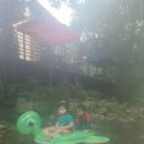 더숲852 이미지