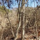 말로건재 이미지