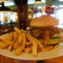 하드락카페 이미지