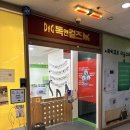 웰시독 | 웰시코기 중형견 미용 장산역 애견미용 독앤걸즈 후기