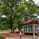 당산마을 화장실 이미지