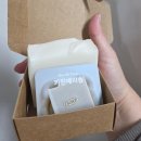 벨하이솝 | 애견동반 여행 후 강아지 목욕 루틴ㅣ벨하이솝 자운베리솝, 키친베리솝 후기