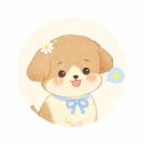 파스텔라 스튜디오 | 부산 수영구 이쁘다뷰티 파고드는발톱 교정 솔직후기 | 문제성발톱 관리 받고 온 후기