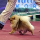 오구오구내새끼 이미지