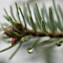 충남대학교 교육대학원 이미지