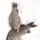 임실펜션 이미지