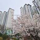 운정행복센타 버스정류장 이미지
