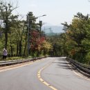 (주)해솔도장 네이버블로그