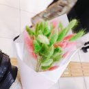 라그라스 이미지