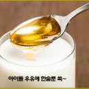 강원도양구벌꿀