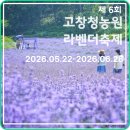 Q-1 | [전북/추천명소]고창청농원 라벤더축제 2026｜보랏빛 라벤더와 한옥 포토존이 예쁜 고창 여행지