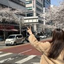 CU 역삼벚꽃길점 이미지