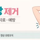 순백의원 이미지