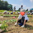 학교농장 이미지