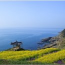 가천민박 이미지