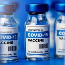최고의 면역학 전문가는 코로나19 백신 접종을 받은 사람은 모두 몇 년 안에 사망할 수 있다고 경고합니다 이미지