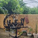 연산청담한의원 이미지