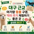 큐사랑달서점 | [대구 아기랑] 대구 근교 아기랑 동물 구경, 먹이 주기 체험하기 좋은 곳 실내외 BEST 7 (하이주주...