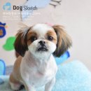 Happy 애견샵 이미지