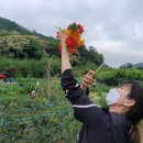 연제구-064 이미지