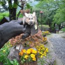 올림픽밸리 이미지