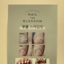 네일더블라썸아카데미