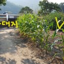 공인농장 이미지