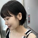 빈에물들다