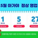 제주 애견 아가야 이미지
