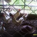 현인농장 이미지