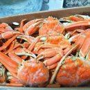 영덕식품(주) 이미지