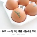 동주동물병원 - 안양시 동안구 경수대로 428 | 구쁘팜 소소원 동물복지 방목사육 1번계란 내돈내산 솔직후기